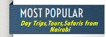 Things to do in Nairobi-Nairobi Things To Do - Attractions & Must See